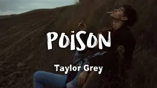 Taylor Grey - Poison (lyrics)