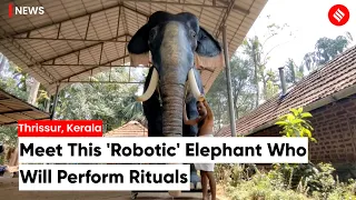 In a first, Kerala temple to use robotic elephant instead of real one to perform rituals