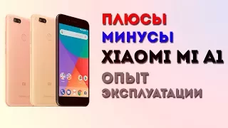 Обзор Xiaomi mi A1 / Опыт использования Xiaomi mi A1 / Примеры фотографий Xiaomi mi A1