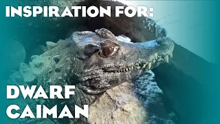 9 Real Dwarf Caiman Habitats! (Planet Zoo Inspiration)