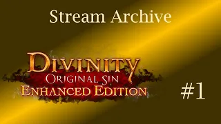 [Blind Long Playthrough] Divinity: Original Sin - Part 1