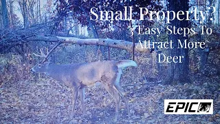 How to Attract Deer to a Small Property : 3 Simple Steps