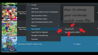 How to Dump Your Nintendo Switch Rom Files!