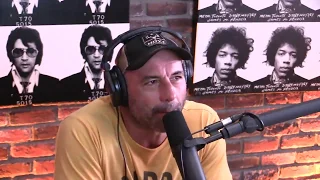 Joe Rogan on Roger the jacked kangaroo