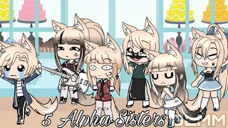 5 Alpha Sisters | GLMM