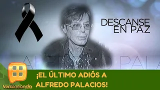 ¡El último adiós a Alfredo Palacios! | Programa del 26 de octubre 2020 | Ventaneando