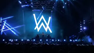 On My Way - Running Out Of Roses - ALAN WALKER - Lollapalooza 2022