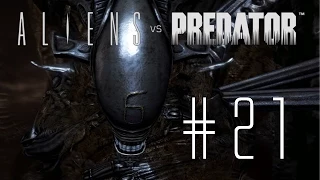 Aliens vs Predator 3 [Alien] #21 - Hinterhalt in den Kanälen - Let`s Play