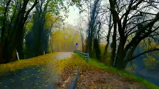 ASMR sound of rain and thunder in the forest outside the window in the car for deep sleep/60 minutes