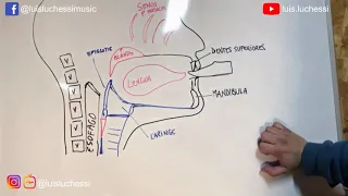 Técnica de Embocadura intermedios