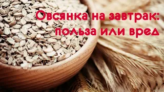 Овсянка на завтрак: польза или вред. Бая Че Доктор Натуропатии