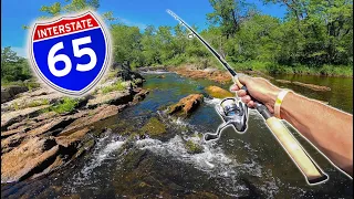 ROADSIDE Creek & Waterfall Fishing CHALLENGE! -- (Northwoods Edition)