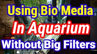 Using Bio Media Without Big Filters / Importance Of Bio Media In Aquarium & Filter