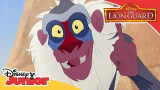 Good King Simba | Music Video | The Lion Guard | Disney Junior Arabia