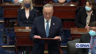 Sen. Chuck Schumer: "This will be a stain on our country not so easily washed away."