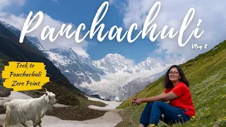 Panchachuli Basecamp | Uttarakhand Himalayas | Vlog 8