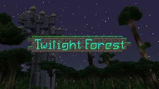 Steps II - Twilight Forest