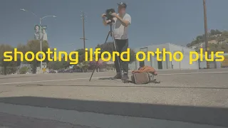 shooting ilford ortho plus 80 in 4x5