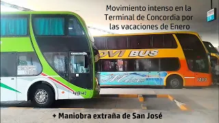 Movimiento intenso en la terminal de omnibus de Concordia