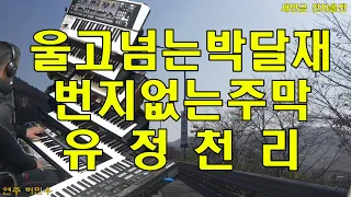 울고넘는박달재,번지없는주막,유정천리