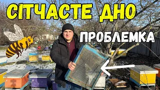 Сітчасте Дно Вулика - Проблемка 🐝