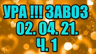 🌸Продажа орхидей. ( Завоз 02.04.21 г.) 1 ч. Отправка только по Украине. ЗАМЕЧТАТЕЛЬНЫЕ КРАСОТКИ👍