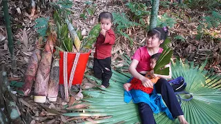 Go to the forest to find bamboo shoots to sell at the market - Daily life of single mother