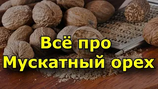 Всё про Мускатный орех.