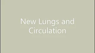 Kundalini Yoga Series - New Lungs and Circulation