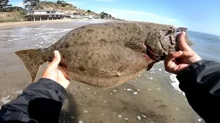 Keeper Dropshot Halibut From Shore [Catch and Cook]