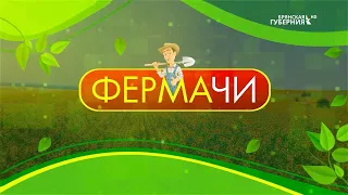 ФЕРМАчи. Козья ферма