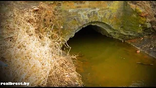 В БРЕСТСКОЙ КРЕПОСТИ НЕТ ОБВОДНОГО КАНАЛА