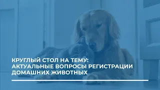 Актуальные вопросы регистрации домашних животных