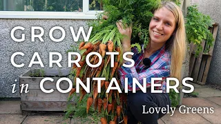 Grow Carrots in Containers (DIY Pallet Planter)