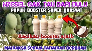 Dahsyatnya pupuk booster ini || semua tanaman bisa dipaksa berbuah lebat