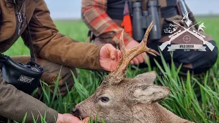 Dan Otvaranja lova na Srndaća/Roebuck Season opening day| E194