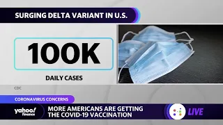 White House urges vaccinations as Delta variant surges in the United States