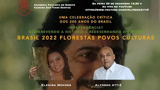 Alfredo Attié Elenira Mendes APD "Brasil 2022 Florestas Povos Culturas"