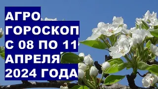 Агрогороскоп с 08 по 11 апреля 2024 года Agrohoroscope from April 8 to April 11, 2024