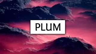 Troye Sivan ‒ Plum (Lyrics)