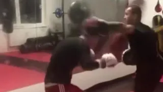 Boxing work on the paws