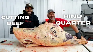 Cutting a BEEF - HIND QUARTER