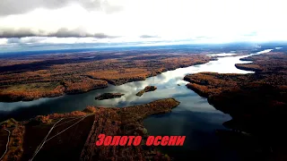 Золото осени. Уводьское водохранилище. Уводьстрой. 4К видео