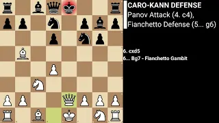 Caro-Kann Defense: Panov Attack, Fianchetto Defense (4. c4, 5... g6)