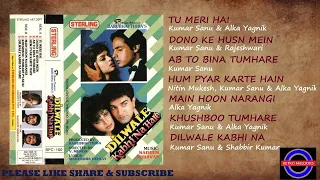 DILWALE KABHI NA HAARE 1992 (AUDIO SONGS)