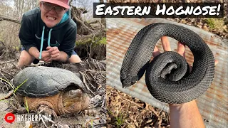 Giant Hognose Snake in My Yard! Swamp Herping, Tin Flipping, and More with PetfaxTV!