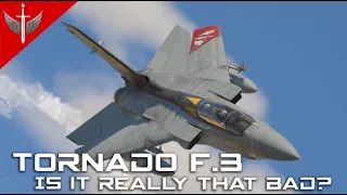 Is It Really That Bad? - Tornado F.3 (ft extra spicy chat salt)