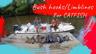 Catching CATFISH on BUSH HOOKS/LIMB LINES