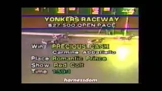 1989 Yonkers Raceway PRECIOUS CASH Open Pace Carmine abbatiello