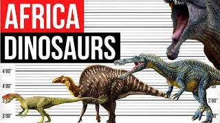 Dinosaurs From Africa | Size Comparison
